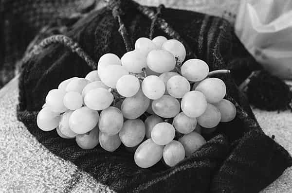 Das Schwarz - Weiss Bild zeigt zentral eine Weintraube, die auf einer rustikalen Tasche aus Kelimstoff liegt. Die Grautoene vermitteln die Frische der einzelnen Traube.Sie ist ein Bestandteil eines Picknicks. Die Aufnahme entstand am Gardasee, Italien.