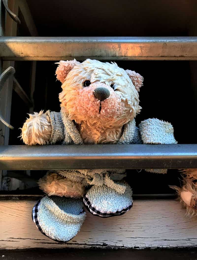 Ein Teddybaer sitzt hinter einer vergitterten Fensteroeffnung. Er traegt einen blauen Bademantel und blaue Schlappen / Puschen aus Frottee